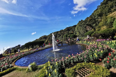 Terrazze di riso di Pa Pong Piang e Parco nazionale di Doi InthanonTerrazze di riso Pa Pong Piang e Parco Nazionale Doi Inthanon