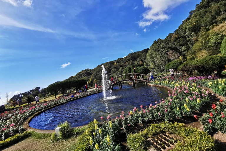 Pa Pong Piang Rijstterrassen &amp; Doi Inthanon Nationaal ParkRijstterrassen van Pa Pong Piang en nationaal park Doi Inthanon