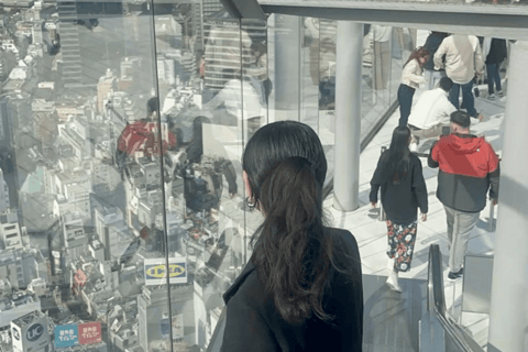 Tokyo City Highlights Customize Private Tour English Guide