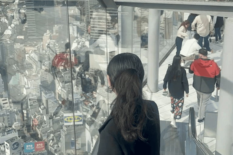 Tokyo City Highlights Customize Private Tour English Guide