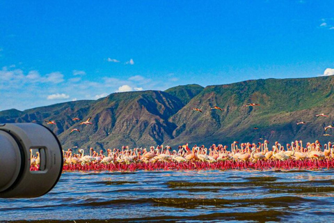 Nairobi: Lake Bogoria Canoe and Birdwatching Tour