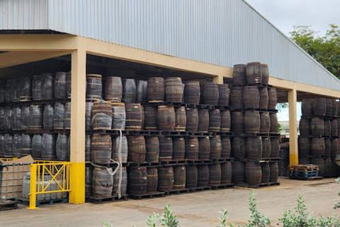 Barbados: Rum Distillery Tour with Tastings