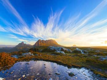 Cradle Mountain: Day Trip from Launceston with Lunch