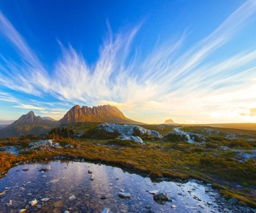 Cradle Mountain : Excursion d'une journée depuis Launceston avec déjeuner