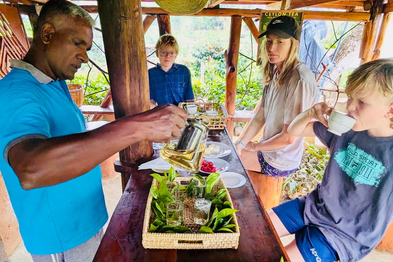 ELLA : Tea-Making Experience Tour with Tasting and Snacks