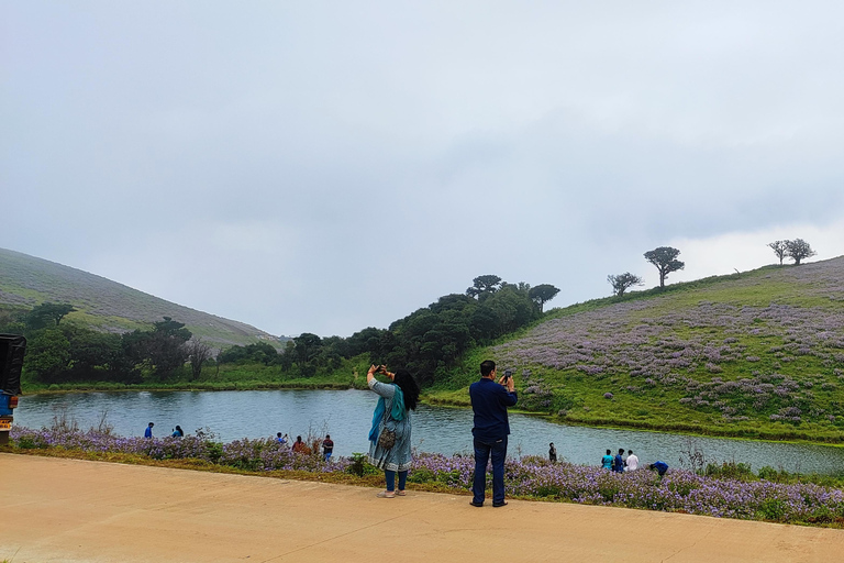 From Bangalore: 2-Day Chikkamagaluru: Temples & Safari