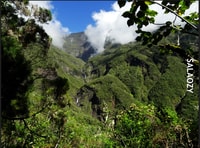 Salaozy”，瀑布马戏团，星期日 - Housity