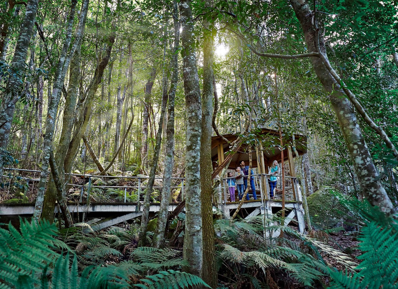 Sydney: Blue Mountains Scenic World, dyrepark og frokost