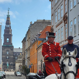 Copenhagen Combo: Walking Tour, Harbor Ferry & Royal Guards