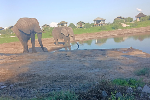 From Victoria Falls: Maun Transfer with Elephant Sands Stop