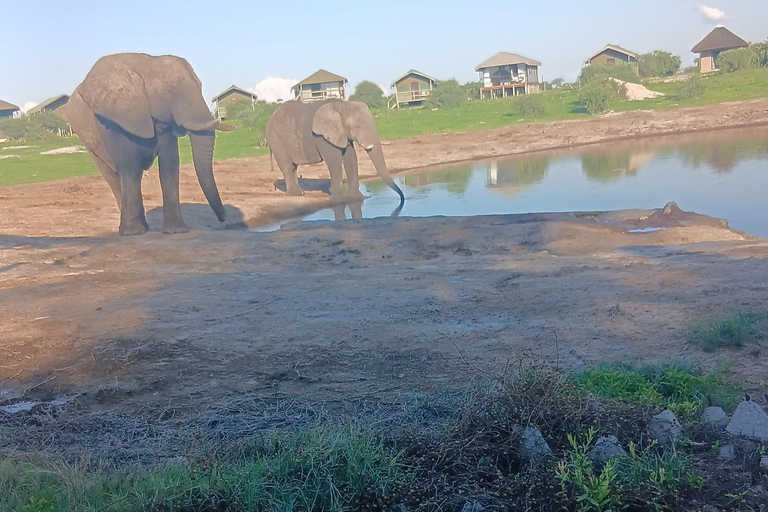 From Victoria Falls: Maun Transfer with Elephant Sands Stop