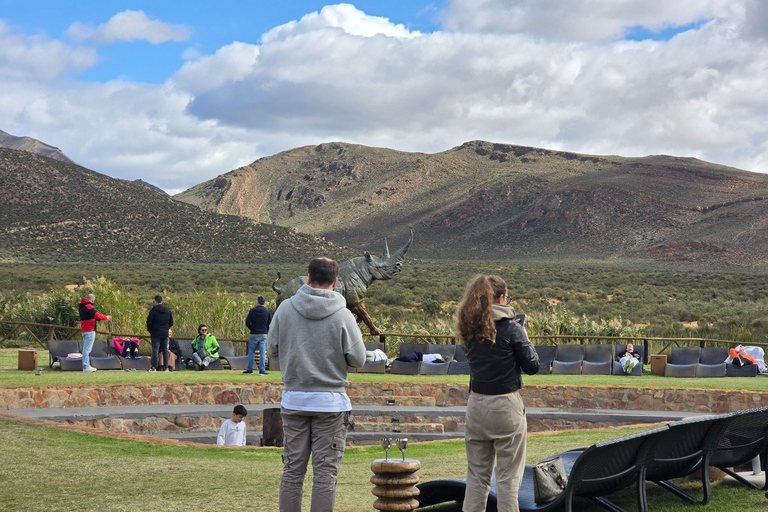 Cape Town: Cruise Passengers sunset Safari & Wine Tour