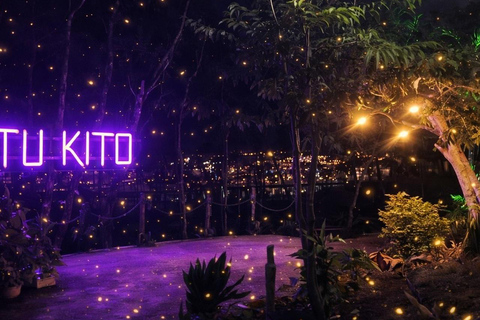 Puerto Princesa: Firefly Watching & Seasonal Plankton Tour Private Tour | Firefly Watching with Buffer Dinner