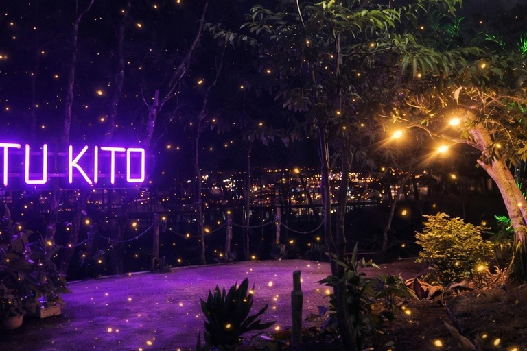 Puerto Princesa: Firefly Watching & Seasonal Plankton Tour Private Tour | Firefly Watching with Buffer Dinner