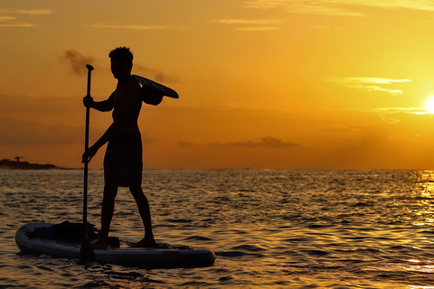 Paddleboard Adventure with Sea Lions on San Cristobal Island