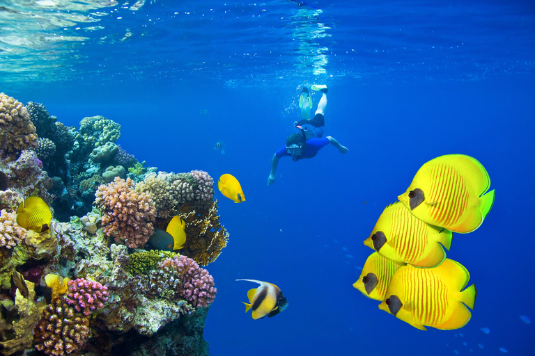 Hurghada: Orange Island Sea Trip with Snorkeling and Lunch Orange Island Sea Trip with Snorkeling Gear & Buffet Lunch