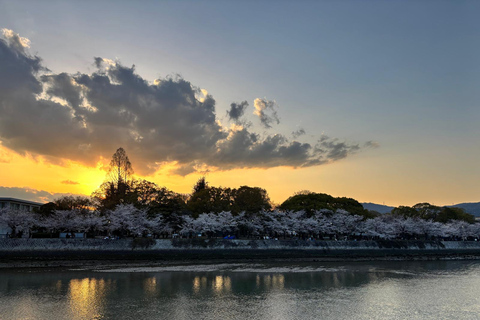 Hiroshima: History and Evening Walk