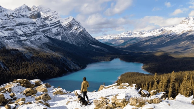 Banff Tour: Peyto Lake, Bow Lake & Lake Minnewanka