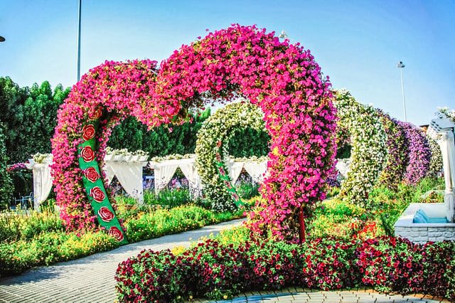 Tour di 4 ore della flora e della fauna di Dubai