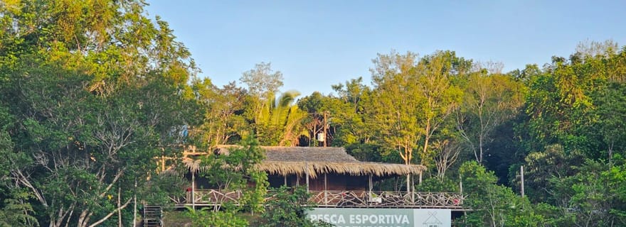 Amazonas : circuit de 2, 3 ou 4 jours