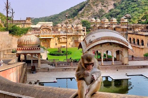 From Delhi : Jaipur tour with Galta Ji Temple(Monkey Temple)