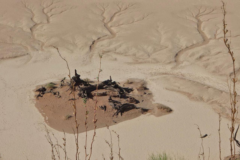 From Swakopmund: 2-Day Sossusvlei Scenic Journey (1 Night)