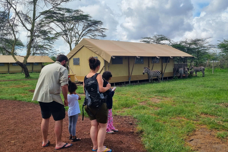 Sansibar: 4-tägige Safari-Reise zum atemberaubenden NatronseeAtemberaubende Lake Natron Safari Reise - Komfortable Unterkunft