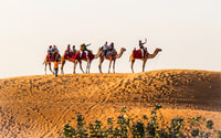 Dubai, Red Dune Safari, Camel Ride, Sandboarding, and Dinner - Housity