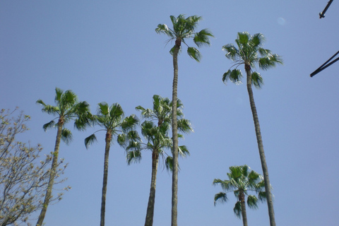 Excursion à Agadir pour Taroudant oissis Tiout avec déjeuner