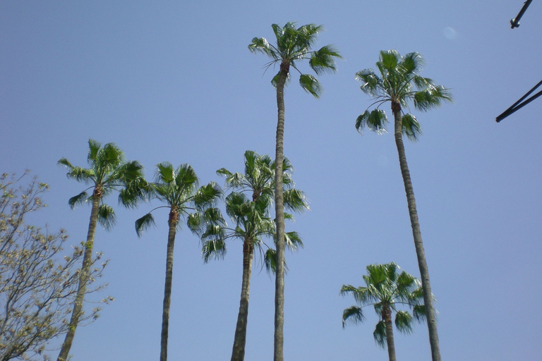 Wycieczka do Agadiru do Taroudant oissis Tiout z lunchemAgadir Wycieczka do Taroudant oissis Tiout z lunchem