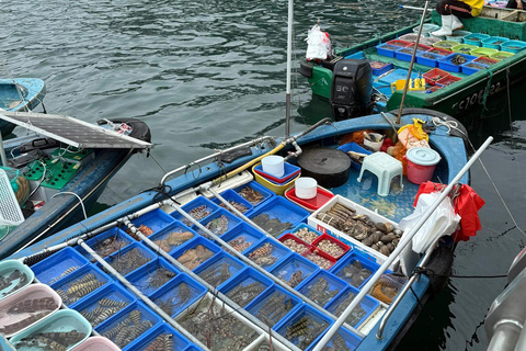 Hong Kong: Sai Kung Geopark Private Boat Tour & Pickup