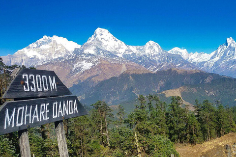 Mohare Danda Trek: Caminhada curta e fácil