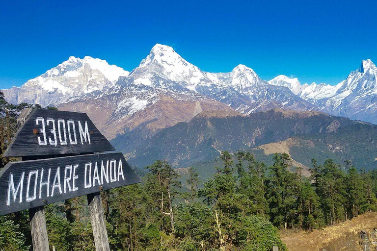 Mohare Danda Trek: Caminhada curta e fácil