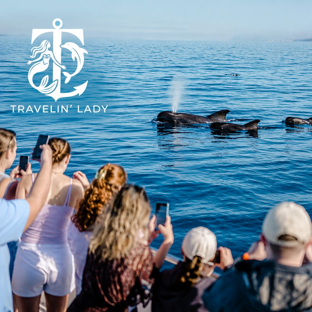 Tenerife: Eco-Yacht Whale & Dolphin Watching Tour with Swim