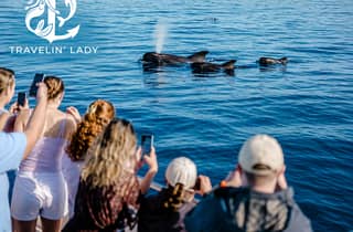 Travelin' Lady: safari in eco-yacht con avvistamento di balene e delfini + nuotata