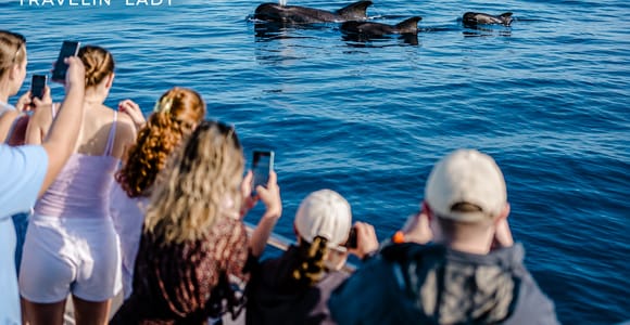 Travelin’ Lady: Eco Yacht Whale & Dolphin Safari + Swim