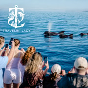 Teneriffa: Öko-Jacht-Wal- & Delfinbeobachtungstour mit Schwimmen