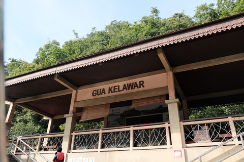 Langkawi : visite privée de 2 heures dans la mangrove avec transfert depuis l&#039;hôtelGroupe de 6 personnes (par bateau)