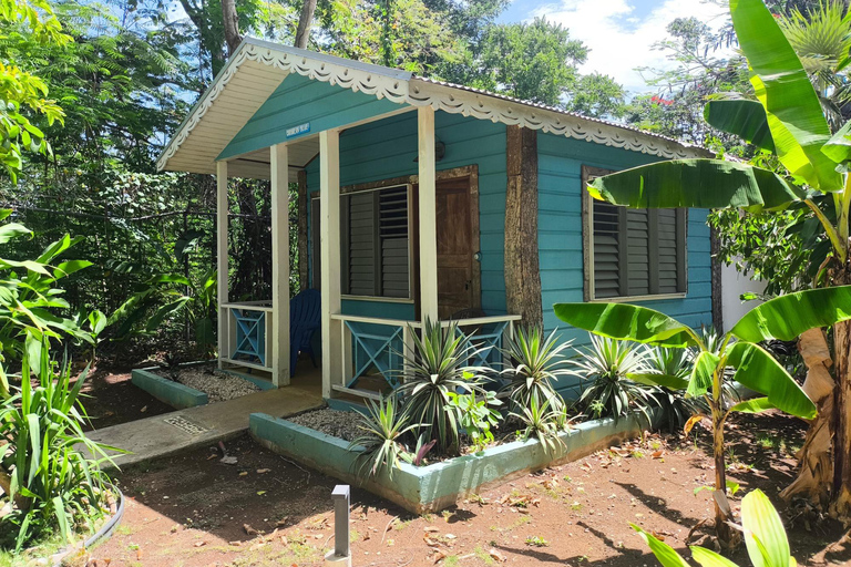 Cabarete: El Choco National Park Caves Tour with Pickup