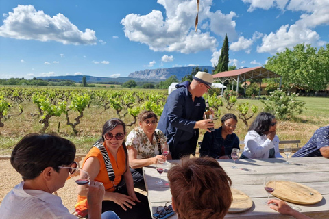 Aix-en-Provence: Rosé & Côtes de Provence Wine Tour