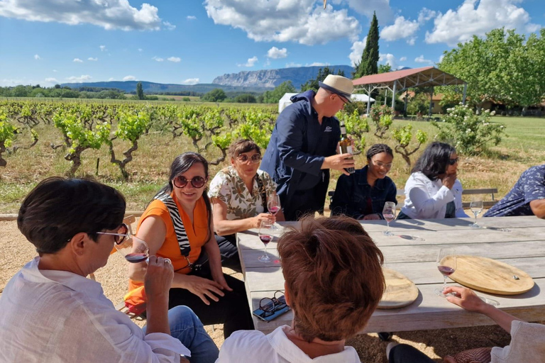 Aix-en-Provence: Rosé & Côtes de Provence Wine Tour