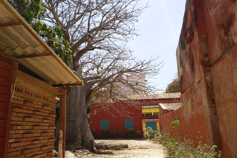 Discover the Hidden Gems of Gorée Island and Dakar in One Day