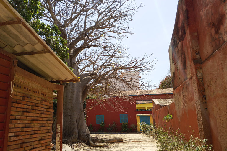 Discover the Hidden Gems of Gorée Island and Dakar in One Day