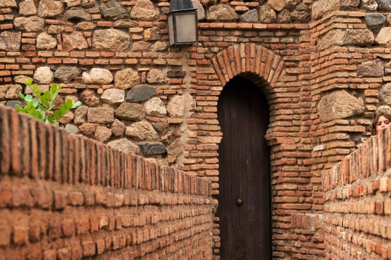 Malaga : visite guidée de l'Alcazaba et du théâtre romain avec billets