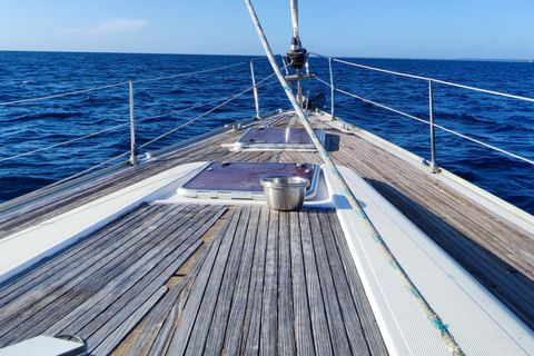 Saona Island: Private Yacht Tour with Lunch & Pickup