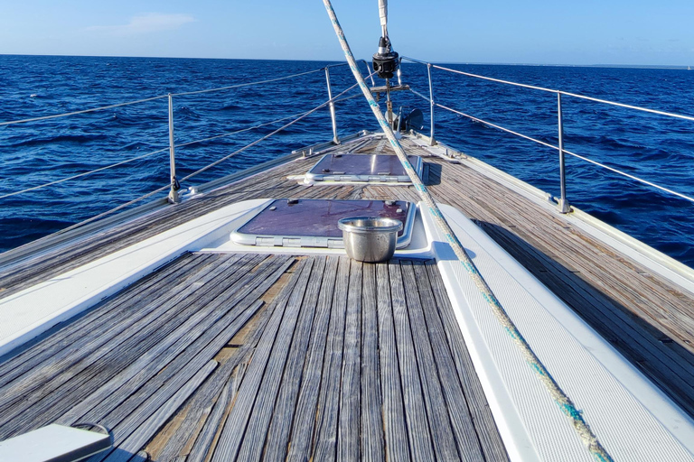 Saona Island: Private Yacht Tour with Lunch & Pickup