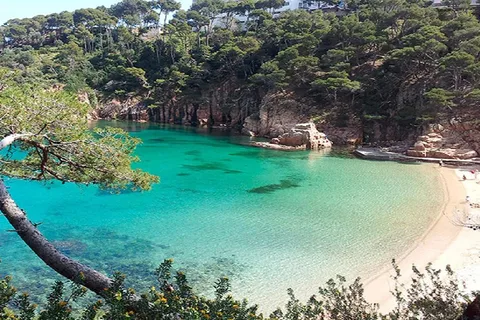 From Barcelona: to beaches Aiguablava & Tamariu, Costa Brava