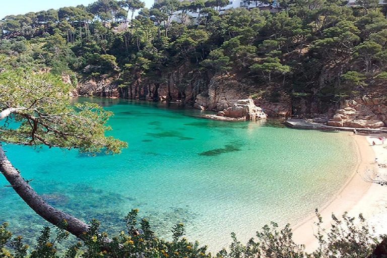 From Barcelona: to beaches Aiguablava & Tamariu, Costa Brava