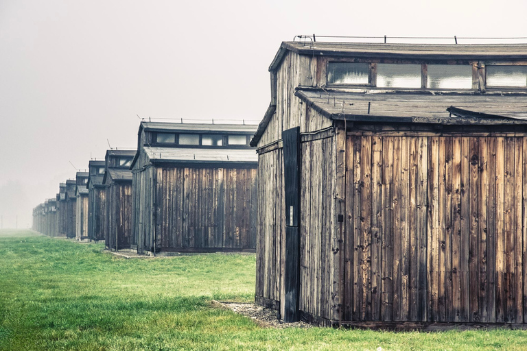 Från Krakow: Auschwitz-Birkenau-tur med transport