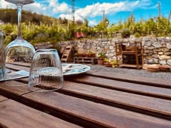 Visita a los viñedos y cata de vinos.